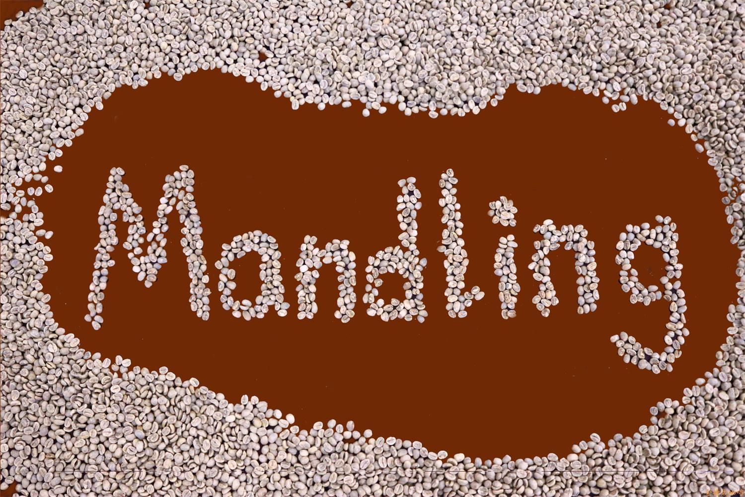 金(jīn)捷成曼特甯咖啡